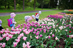 IMG-20260506-WA0055