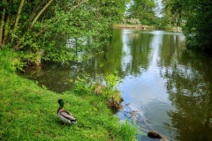 IMG-20260506-WA0066