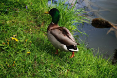 IMG-20260506-WA0067