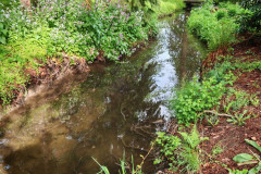 IMG-20260506-WA0071