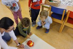 IMG_20231127_081219