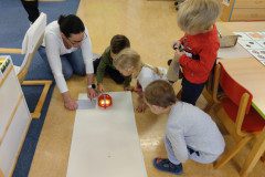 IMG_20231127_081258