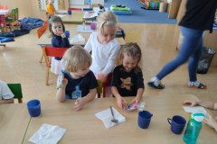 IMG_20231127_115459