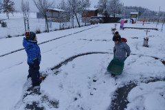 IMG_20231128_095214