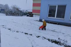 IMG_20231128_095250