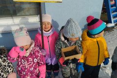 IMG_20231129_101150