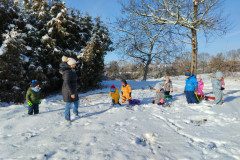 IMG_20231129_103147
