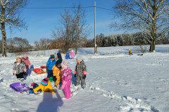 IMG_20231129_103211