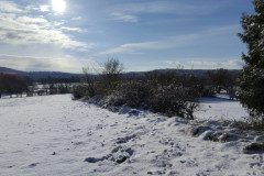 IMG_20231129_103235