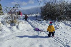 IMG_20231129_103257