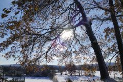 IMG_20231129_110053