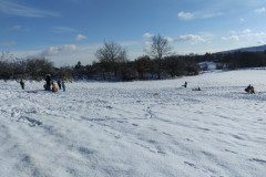 IMG_20231129_110238
