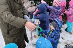IMG_20231201_103324