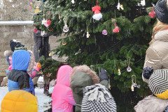 IMG_20231201_103357