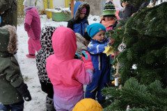 IMG_20231201_103422