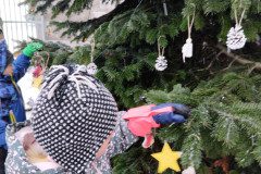 IMG_20231201_103443