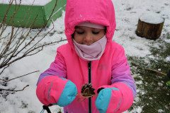 IMG_20231201_103541