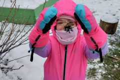 IMG_20231201_103543