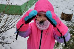 IMG_20231201_103544