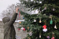 IMG_20231201_103637