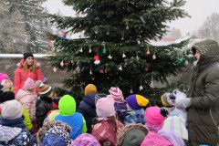 IMG_20231201_104721