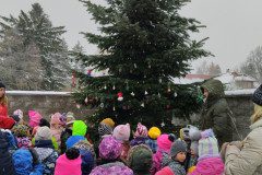 IMG_20231201_104730