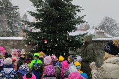 IMG_20231201_104733