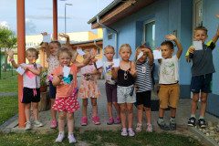 IMG_20240626_194626_1