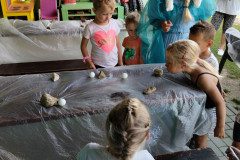 IMG_20240626_200052