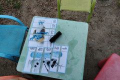IMG_20240626_200650