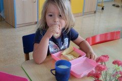 IMG_20240627_070425