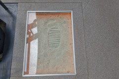 20250312_095528