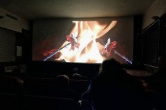 IMG_20250312_090939