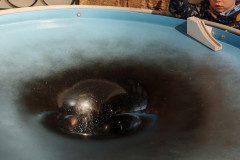 IMG_20250312_092947