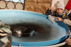 IMG_20250312_092957
