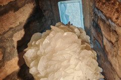 IMG_20250312_093921