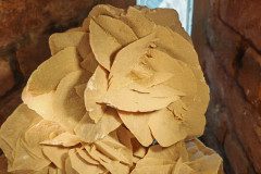 IMG_20250312_093940