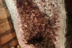 IMG_20250312_093947
