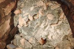 IMG_20250312_094005