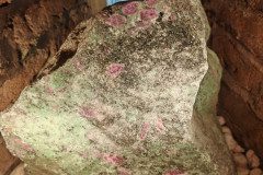 IMG_20250312_094011