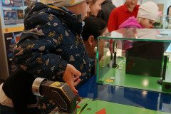 IMG_20250312_094130