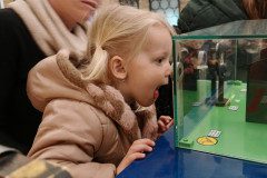 IMG_20250312_094231