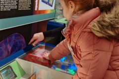 IMG_20250312_094352