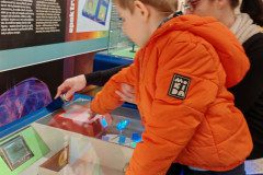 IMG_20250312_094407