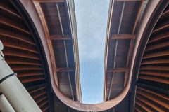 IMG_20250312_095514