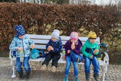IMG_20250312_102850