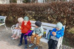IMG_20250312_102907