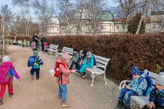 IMG_20250312_104049