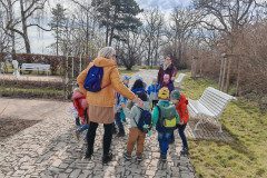 IMG_20250312_104812
