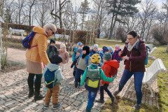 IMG_20250312_104816